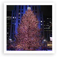 V18: Great Escapes – Ceci’s Guide to the Holidays in New York City