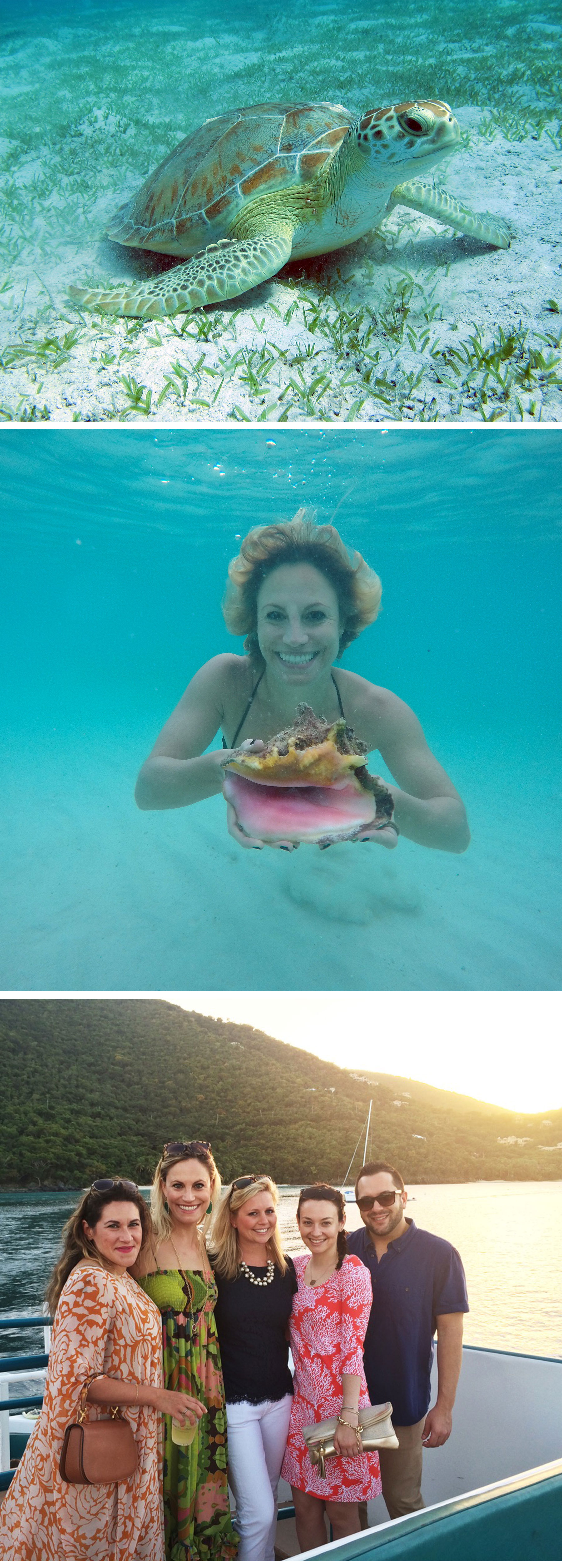 Tropical Escape - Ceci Johnson gets inspired on her trip to the secluded Caneel Bay Resort in the U.S. Virgin Islands