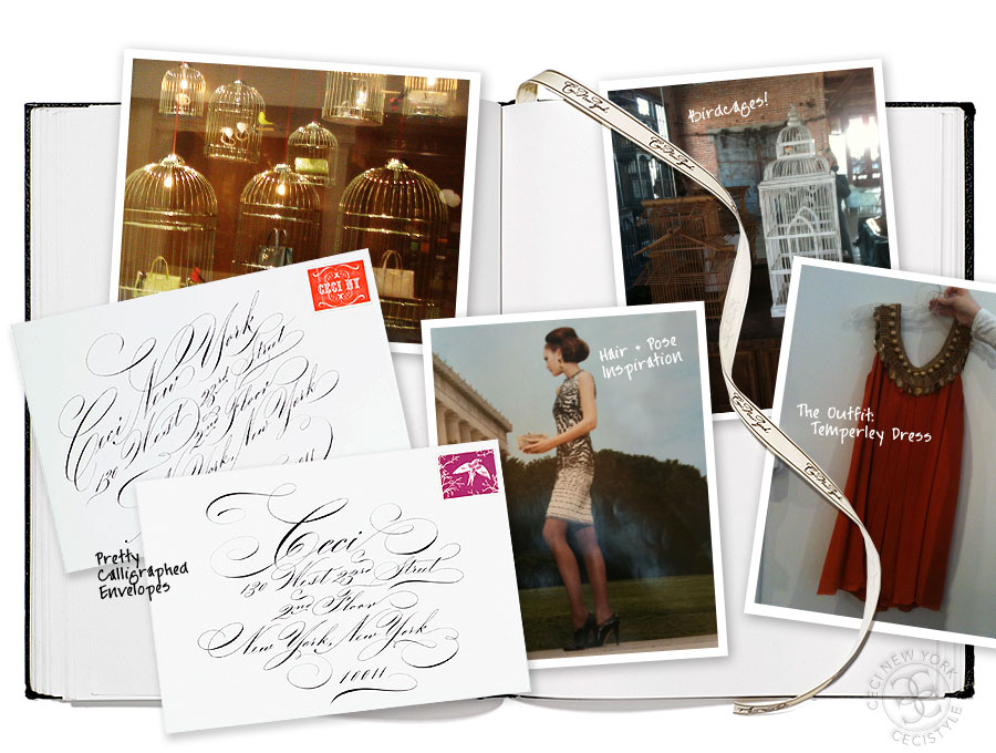 Behind the Scenes - CeciStyle Magazine v3 - Branching Out