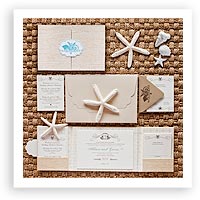 V35: Our Muse – Elegant Caribbean Wedding: Allison & Gavin, Part 1