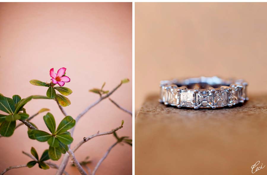 Our Muse - Wedding Photos - Be inspired by Anne & Daniel's beach wedding in Mexico at Esperanza Resort, Cabo San Lucas, Mexico