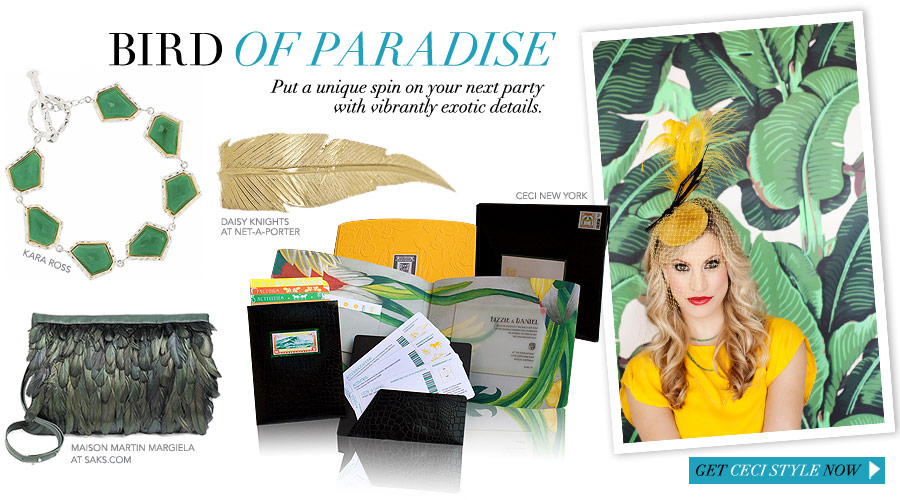 Bird of Paradise
