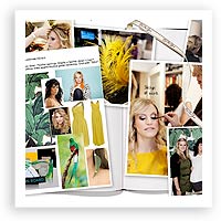 V47: Behind the Scenes – Bird of Paradise