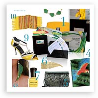 V47: Get the Look – Bird of Paradise