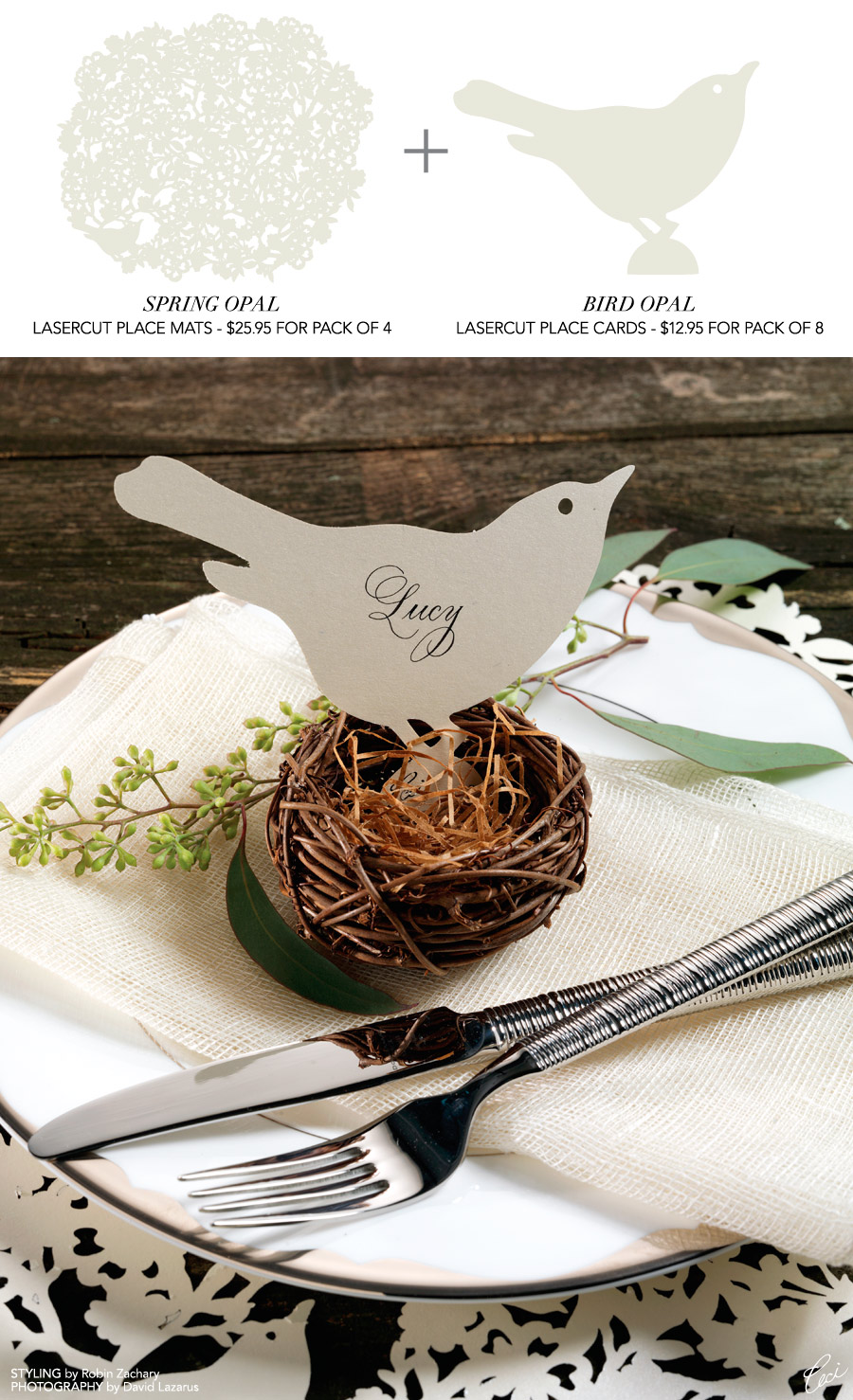 Bird/Spring Table Setting by Robin Zachary