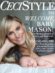 CeciStyle Magazine V64: Welcome, Baby Mason!