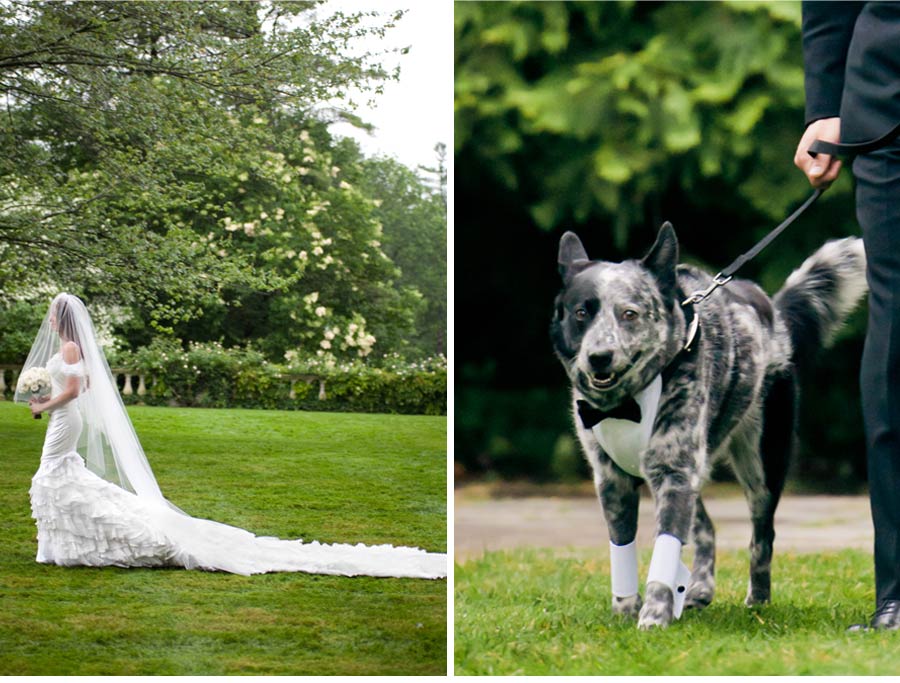 Our Muse - Candy-Colored Wedding - Be inspired by Dylan Lauren & Paul’s candy-colored wedding - wedding