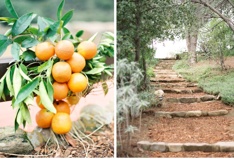 Our Muse - Elegant Orchard Wedding in Ojai - Be inspired by Elizabeth and Matthew's rustic orchard wedding in Ojai, California - wedding, signs