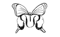Radosa - Logos - Sketch - Ceci ID - Ceci New York