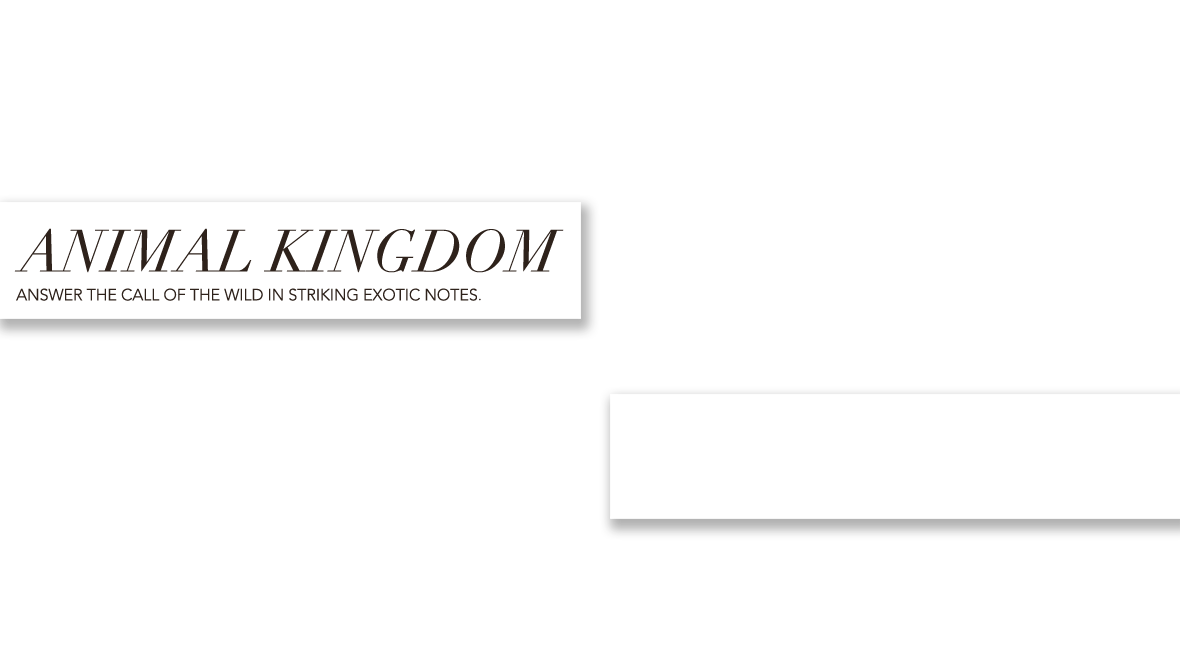 Animal Kingdom - Answer the call of the wild in striking exotic notes.