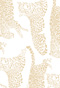 Tafari - Safari - Fine Stationery - Shop Ceci - Ceci New York