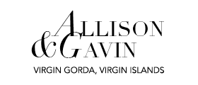 Allison & Gavin - Virgin Gorda, Virgin Islands