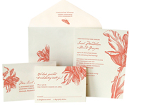 Parrot Tulip - Botanical - Ceci Ready-to-Order Collection - Ceci Wedding - Ceci New York