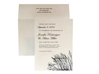 Beachgrass - Save the Dates - Ceci Ready-to-Order Collection - Ceci Wedding - Ceci New York