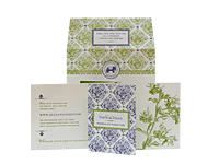 Enchantment - Save the Dates - Ceci Ready-to-Order Collection - Ceci Wedding - Ceci New York