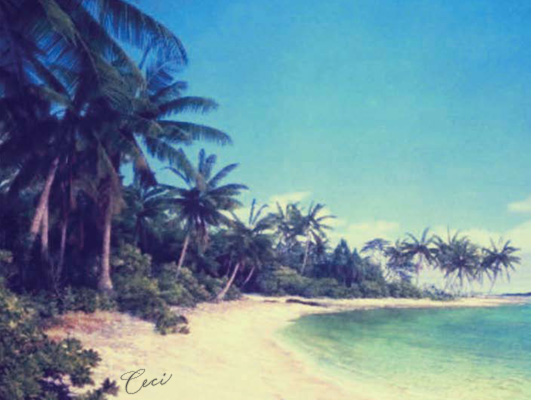 Beach 1 - Details - Luxury Wedding Vintage Postcards - Ceci Ready-to-Order Collection - Ceci Wedding - Ceci New York